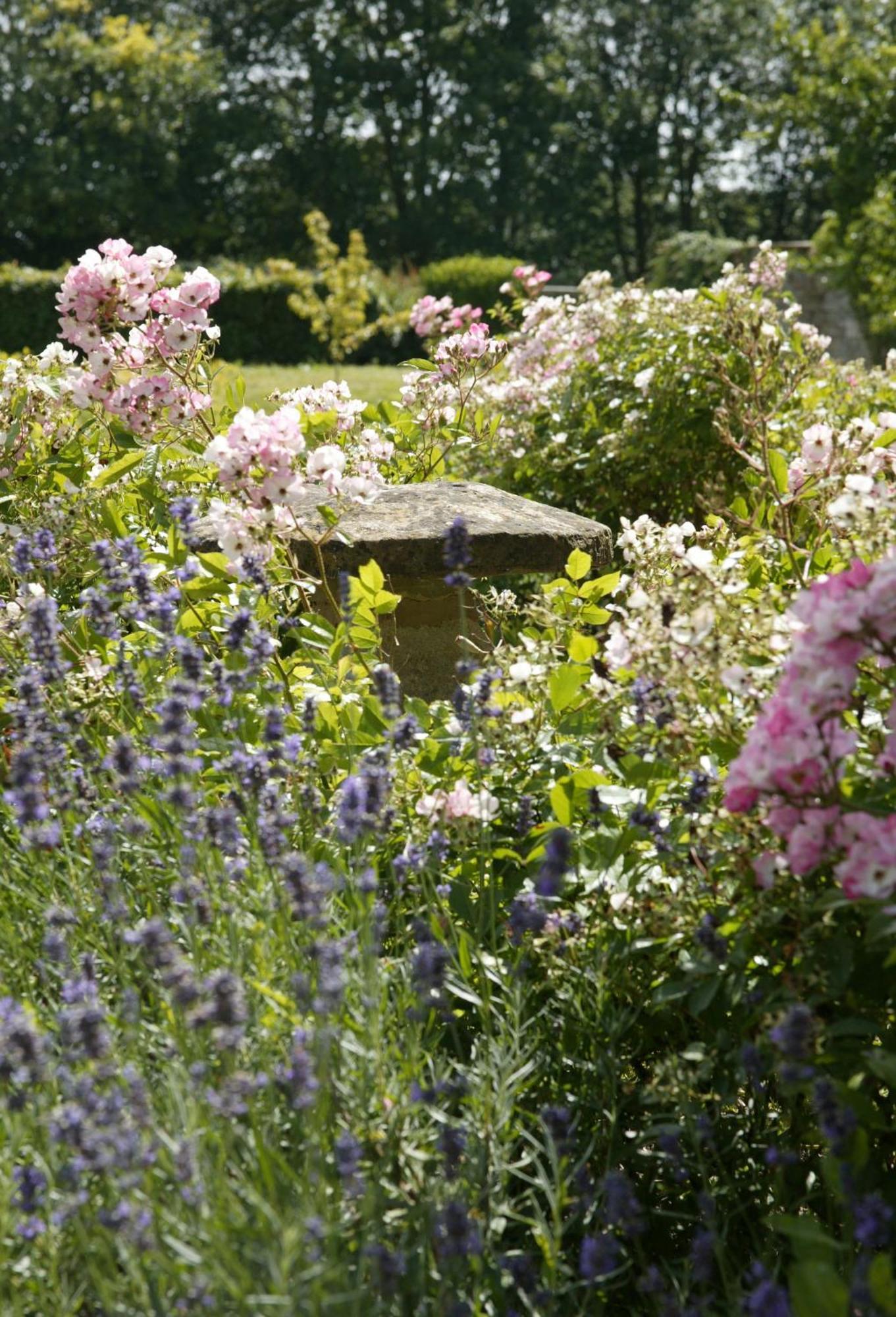 Overtown Manor Bed And Breakfast Swindon Luaran gambar